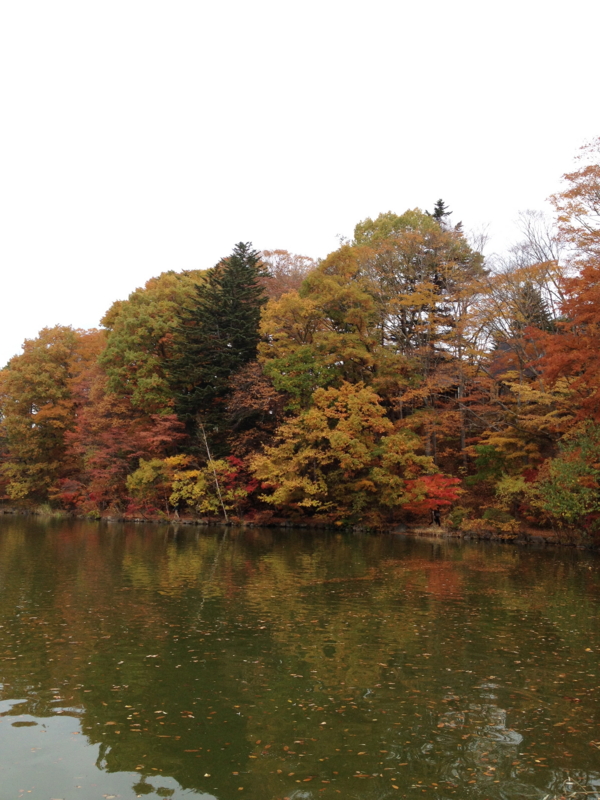 f:id:arushounikai:20131103112722j:image:w360