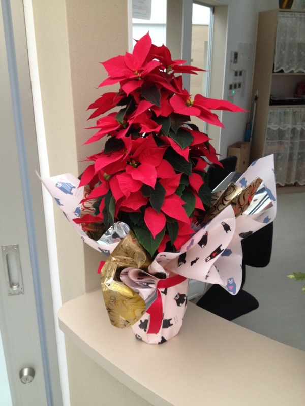 f:id:arushounikai:20131115134833j:image:w360