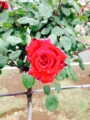 20140521151433