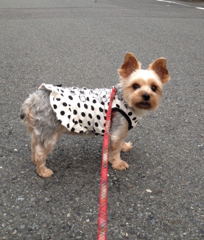 f:id:arushounikai:20140910174107j:image:w360