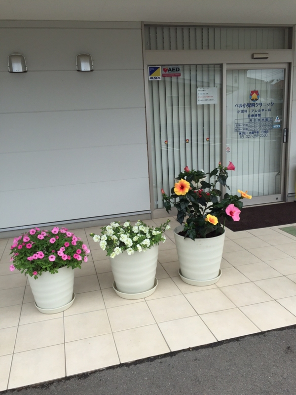 f:id:arushounikai:20150708075132j:image:w360