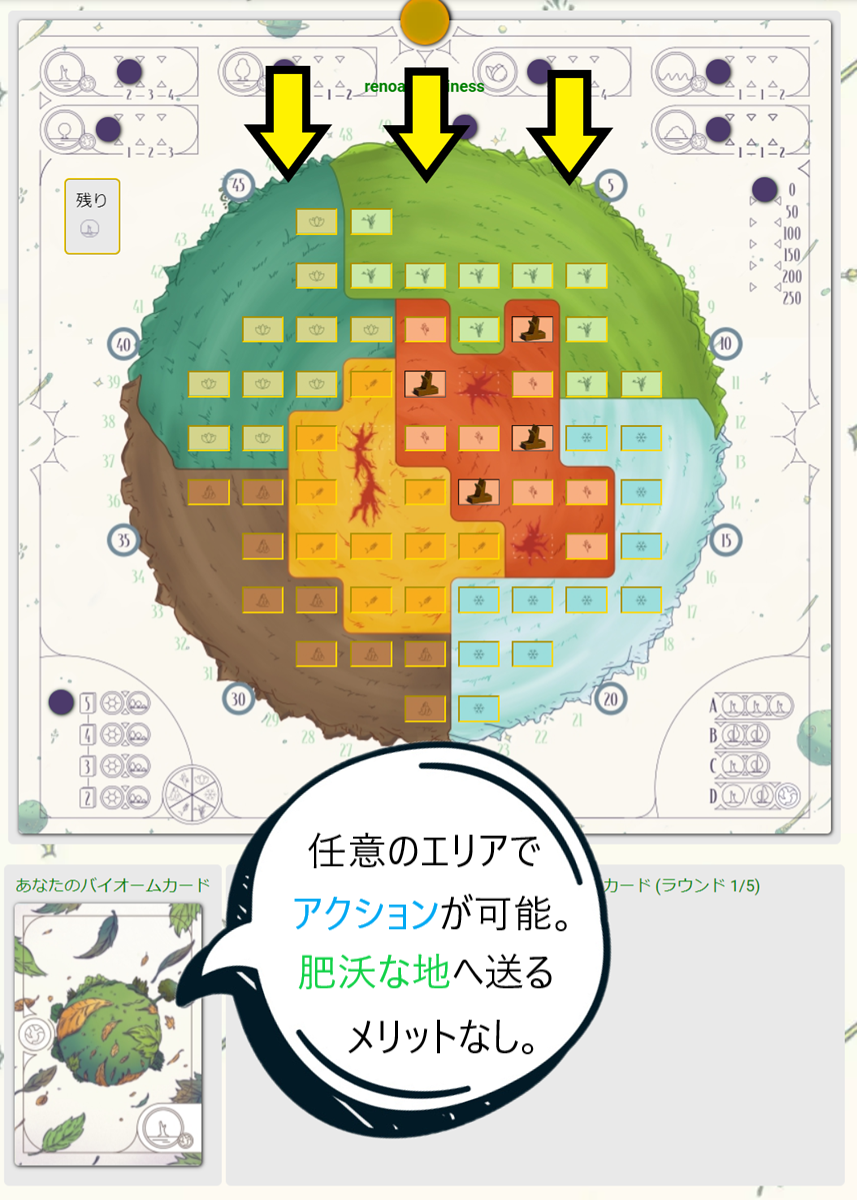 エバーグリーン