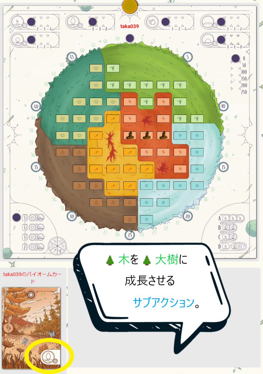 エバーグリーン