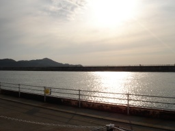 海