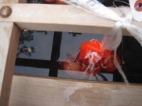 温泉卵製造中
