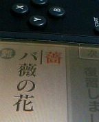 20061214_199731.jpg