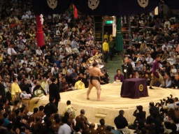 朝青龍