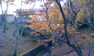 東福寺2
