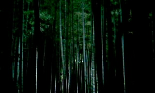 青蓮院