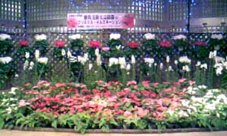 081221_184535.JPG