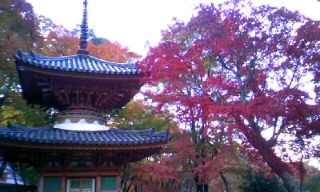 大威徳寺.JPG