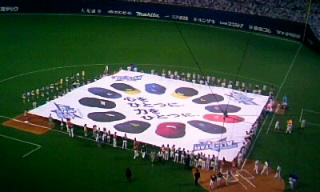 オールスター2011.JPG