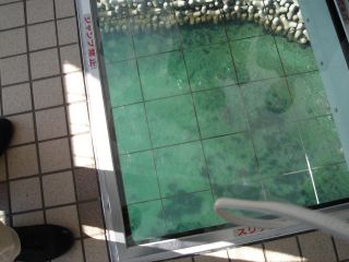 渦の道