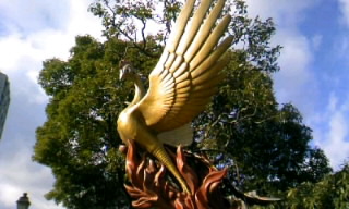 火の鳥.JPG