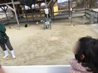 2018-02-25 10-36-43.jpg