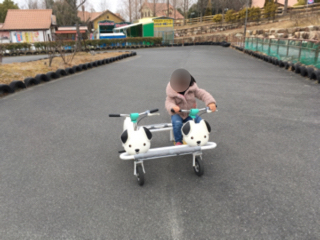 2018-02-25 13-54-26.jpg