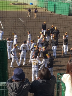 阪神選手