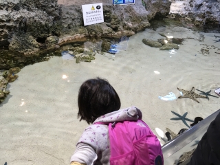 水族館