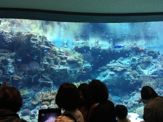 水族館