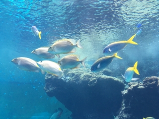 水族館