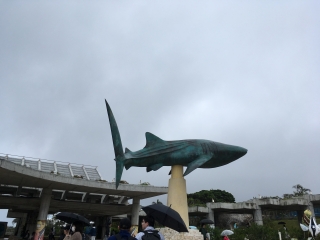 オブジェ