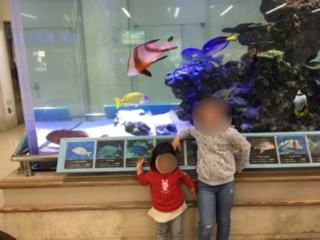 20190216_2693684.jpg