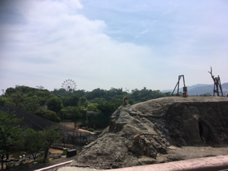 20190601_2753509.jpg