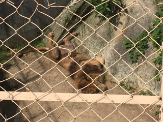 20190601_2753511.jpg