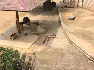 20190601_2753515.jpg
