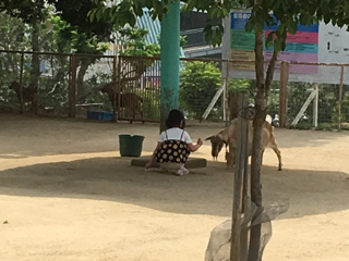 20190601_2753521.jpg