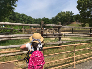 2019-05-26 09-32-18.jpg