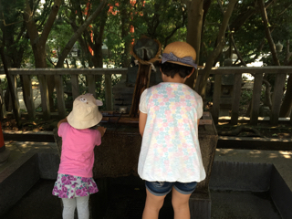20190730_2784584.jpg