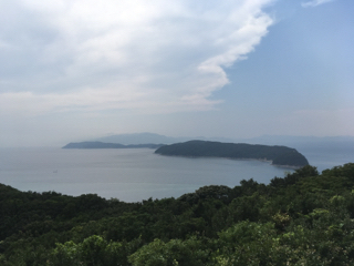 20190730_2784738.jpg