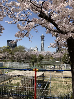 通天閣