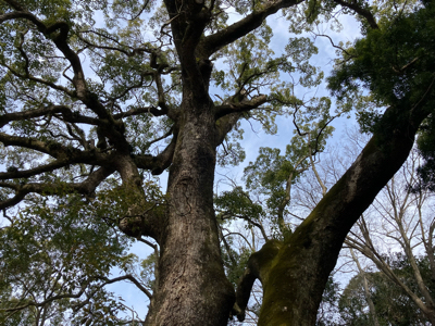 20220111_3157634.jpg