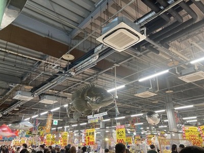 とれとれ市場の天井