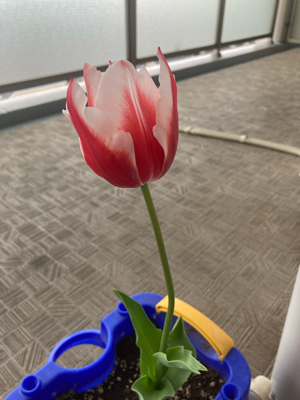 20230414_3314919.jpg