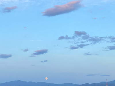 20230510_3324056.jpg