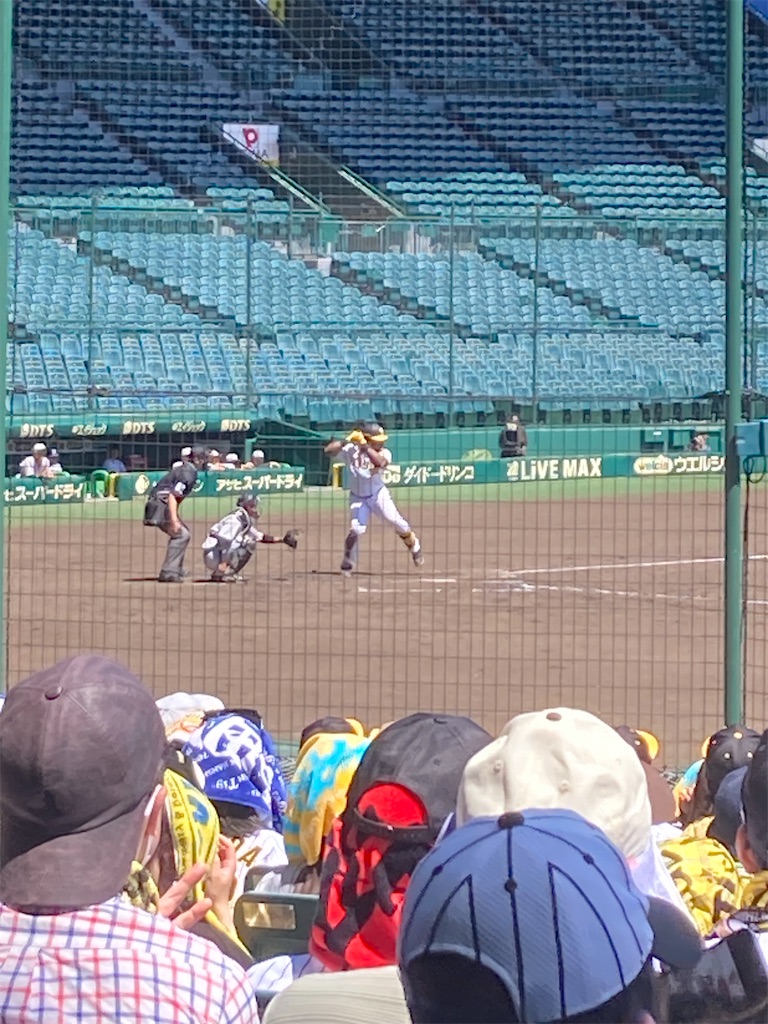 f:id:arutamaso:20240512145806j:image