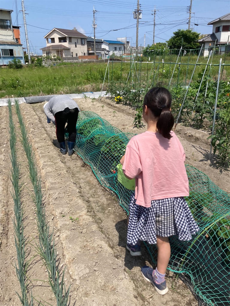 f:id:arutamaso:20240601150909j:image f:id:arutamaso:20240601150909j:image