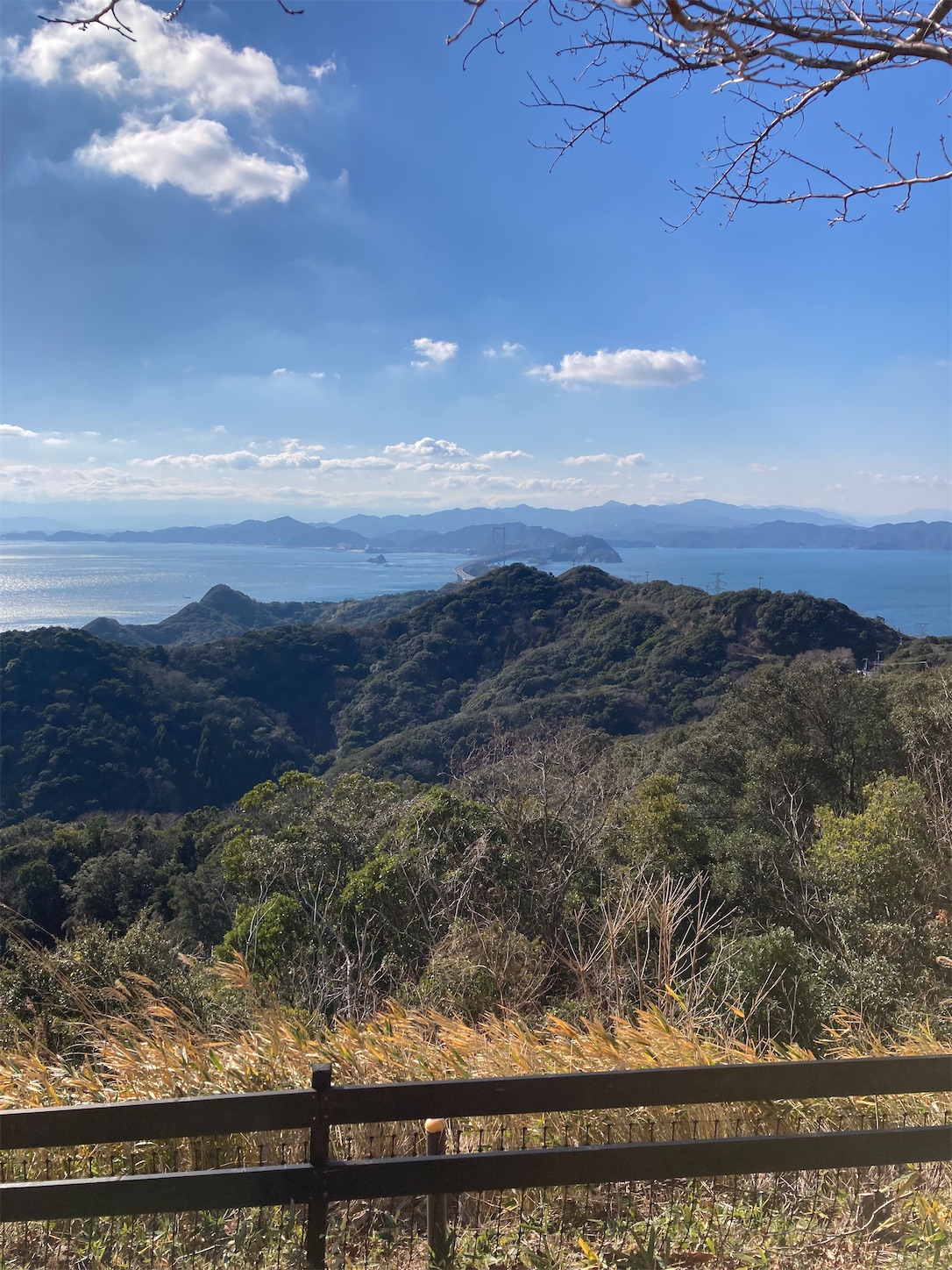 f:id:arutamaso:20250118120826j:image