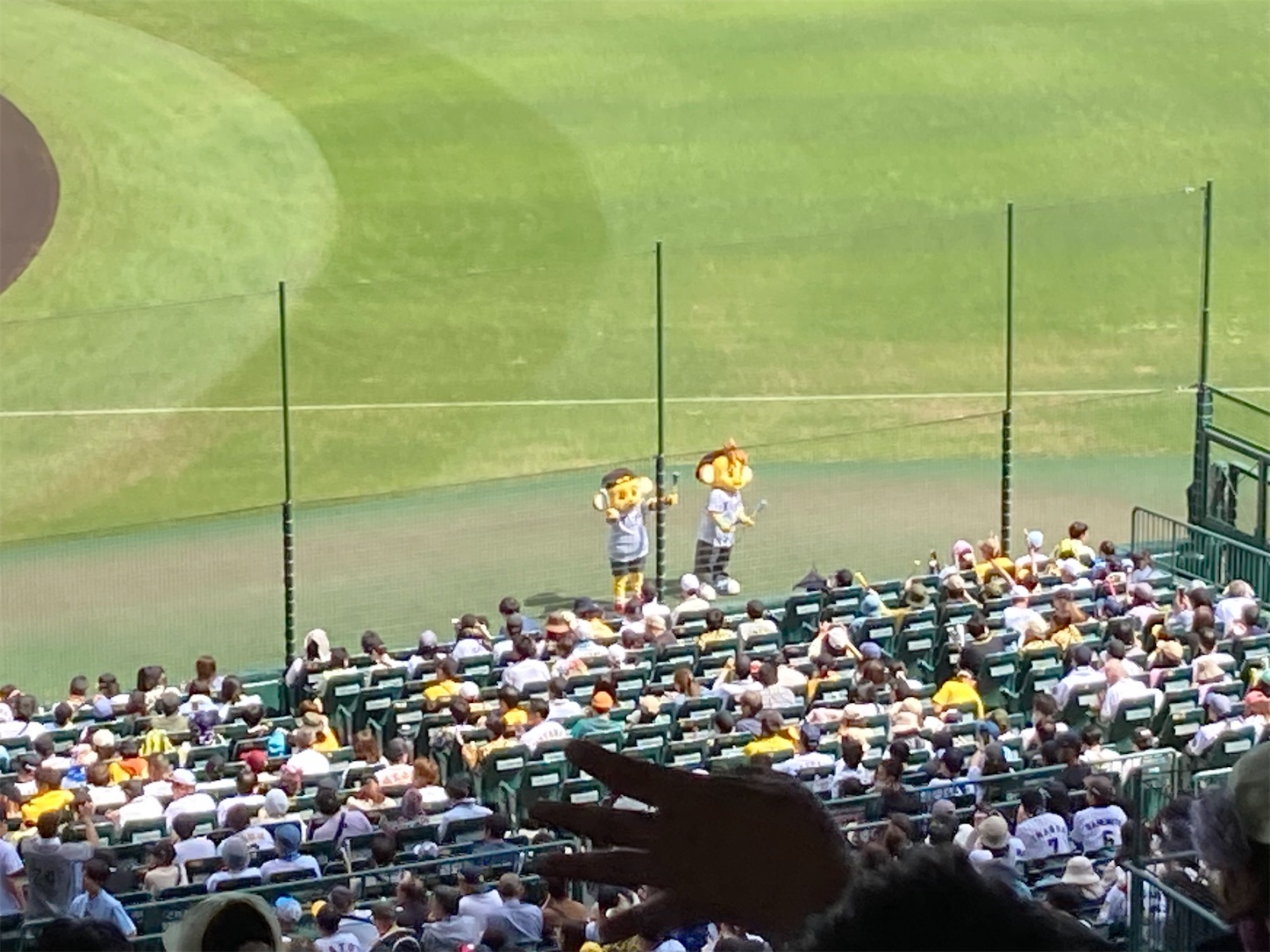 f:id:arutamaso:20250509214129j:image