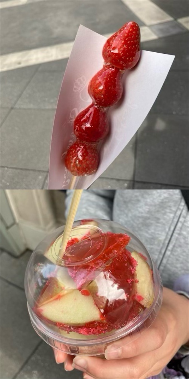 f:id:arutamaso:20250511103213j:image