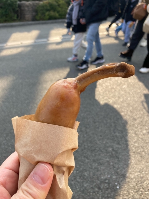 サメのえじき