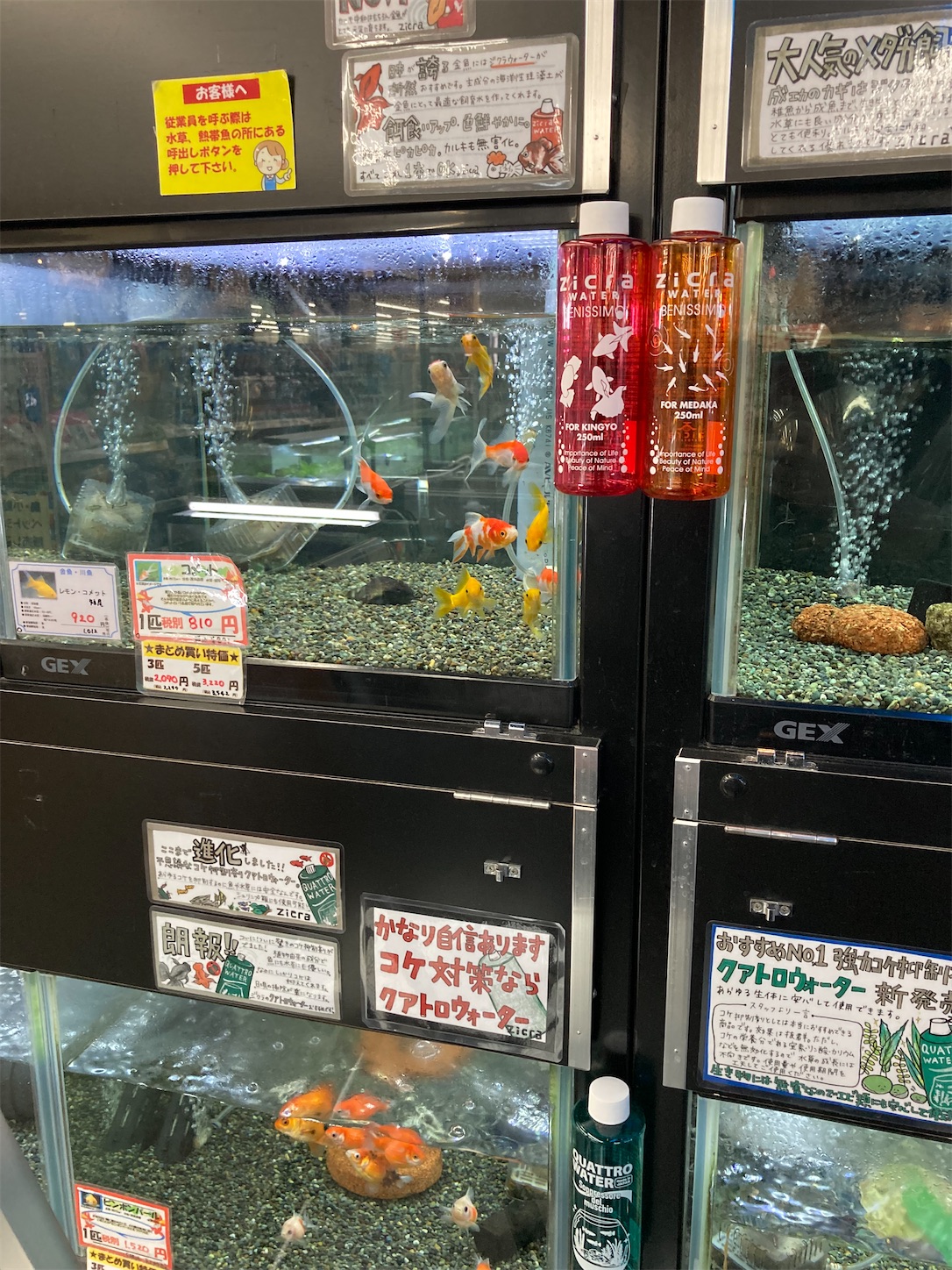 f:id:arutamaso:20260505111404j:image