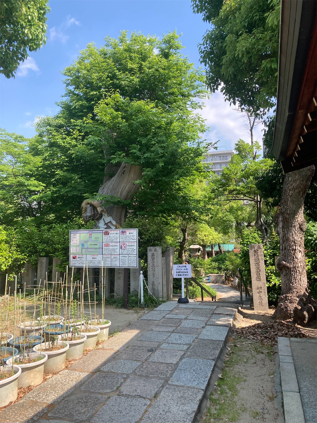 f:id:arutamaso:20260523224519j:image