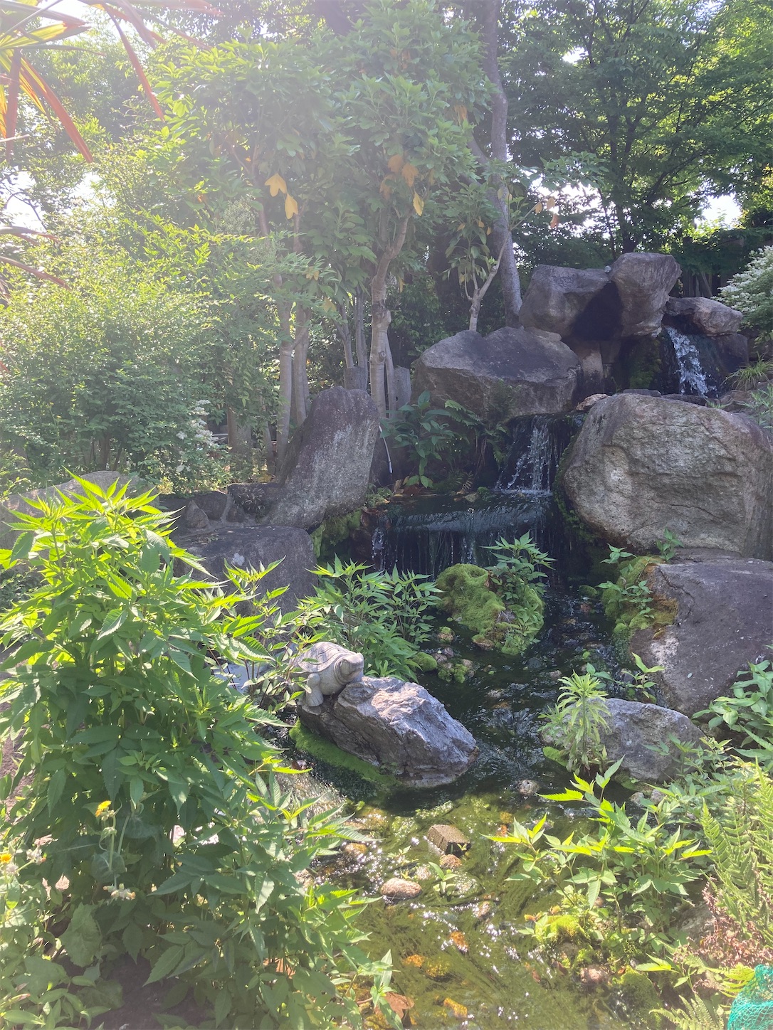 f:id:arutamaso:20260523224526j:image