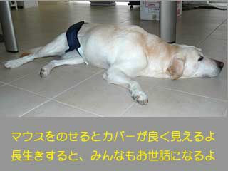 いろんな方向からカバー