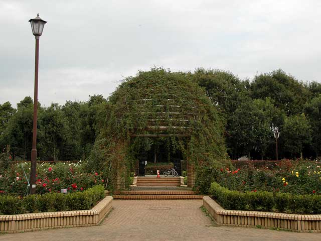 No１３