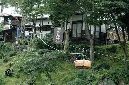 02触れた草に絡まりついて更に伸びる